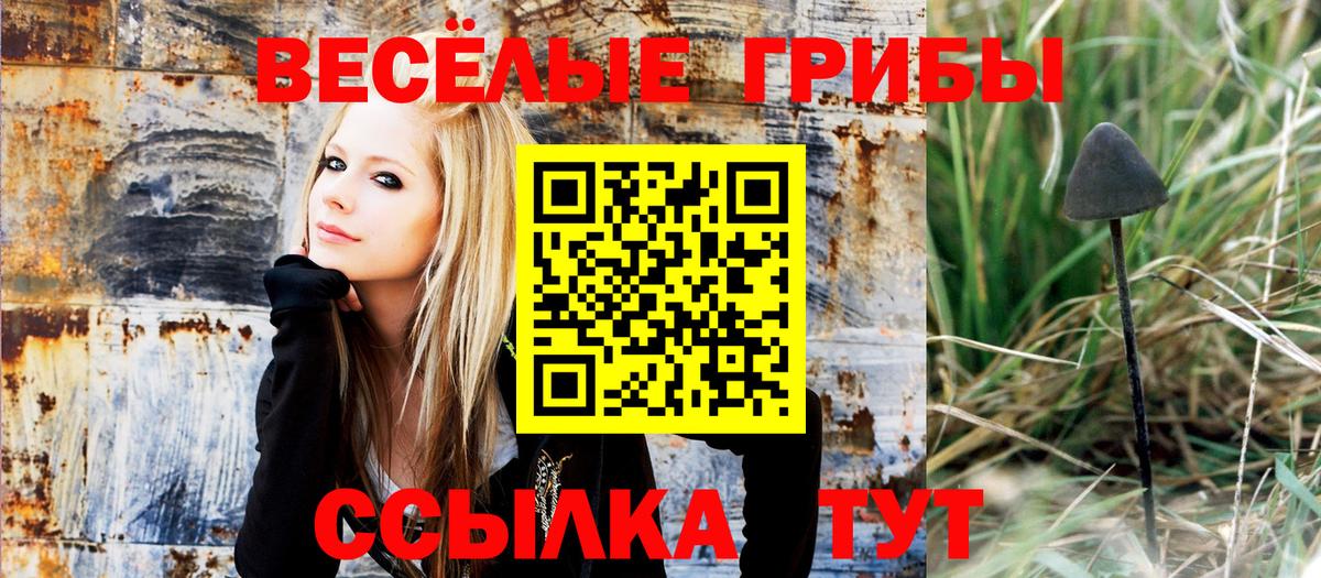 Галлюциногенные грибы Psilocybine cubensis Альметьевск