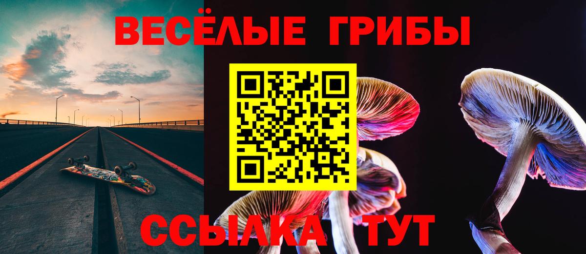 Псилоцибиновые грибы Psilocybine cubensis  Псилоцибиновые грибы MAGIC MUSHROOMS  Альметьевск  Вход с VPN 